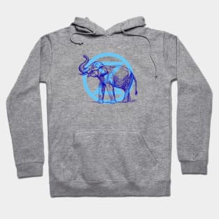 Extinction Rebellion - Elephant Hoodie